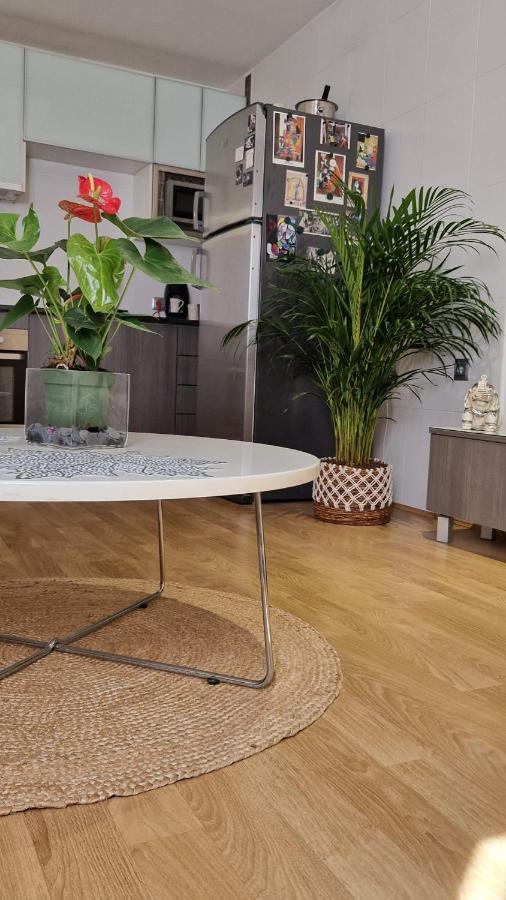 Apartamento Bernier マラガ エクステリア 写真
